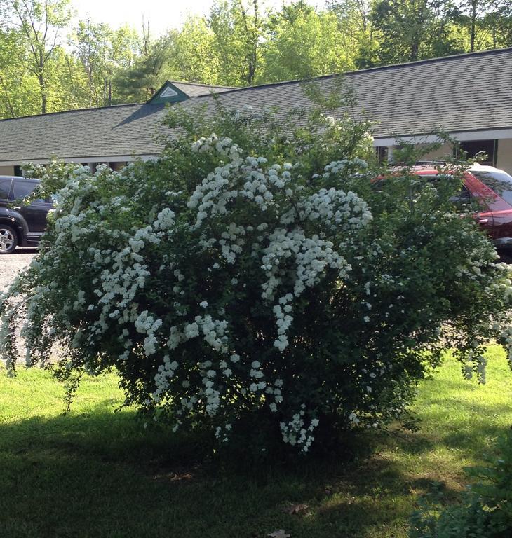 McGregor Inn Motel Wilton Exterior foto