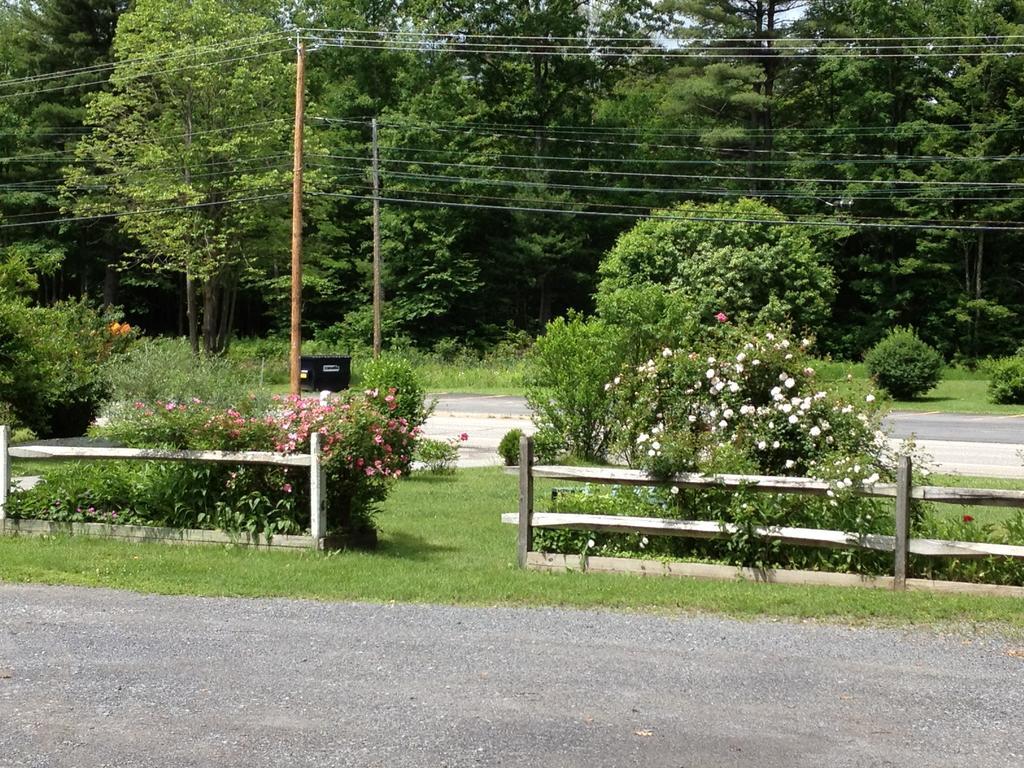 McGregor Inn Motel Wilton Exterior foto